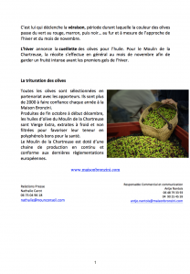 MAISON BRONZINI - Huile d'olive- Communiqué de presse