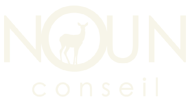 NOUN CONSEIL