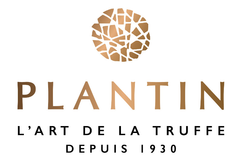 plantin-noun-conseil